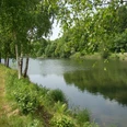 Impressionen vom Wasserweg Ruhiger Fluss von Bäumen gesäumt, grünes Ufer, friedliche Naturkulisse, klarer blauer Himmel.