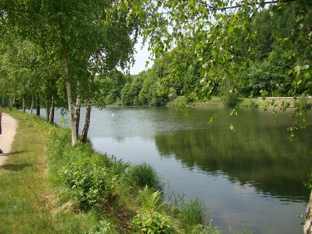 Impressionen vom Wasserweg Ruhiger Fluss von Bäumen gesäumt, grünes Ufer, friedliche Naturkulisse, klarer blauer Himmel.
