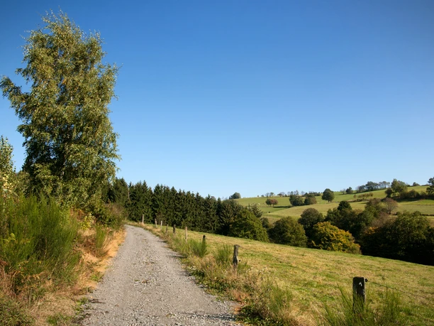 Wanderweg Wildberg Ein Kiesweg windet sich durch grüne Hügel und Felder unter klarem, blauem Himmel.