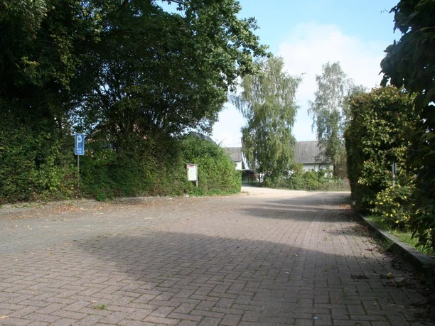 Gepflasterter Parkplatz umgeben von Bäumen und Sträuchern, blauer Himmel im Hintergrund.