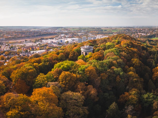 Lousberg Aachen im Herbst Eine Panorama-Ansicht des Lousbergs in Aachen im Herbst, mit farbenfrohen Laubbäumen.