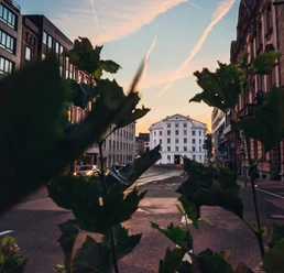 Blick auf das Theater Aachen durch Zweige und Blätter hindurch.