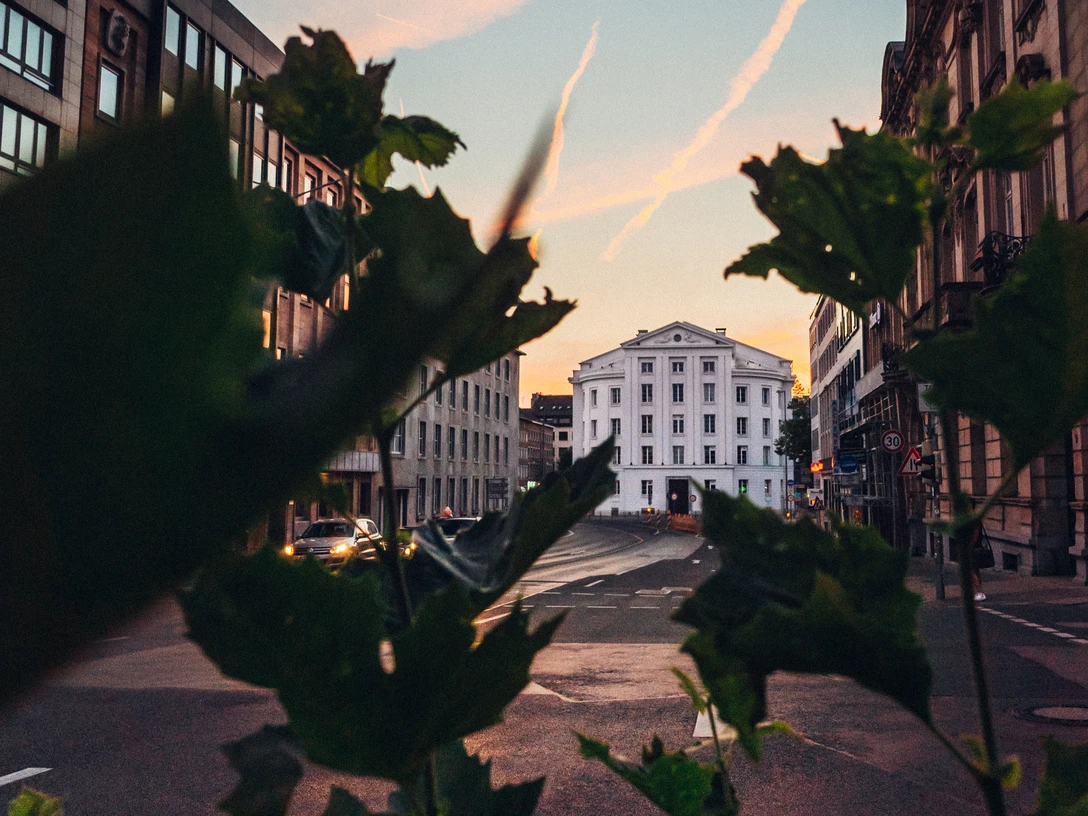 Blick auf das Theater Aachen durch Zweige und Blätter hindurch.