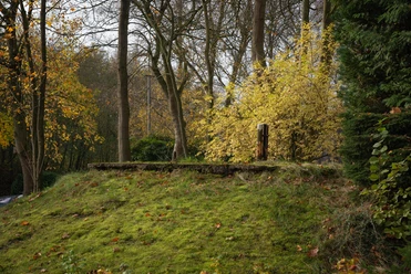 Emslandlager Groß Hesepe Moosbewachsener Erdwall mit herbstlichem Laub, Bäumen und einem kleinen Metallpfosten im Moorgebiet.