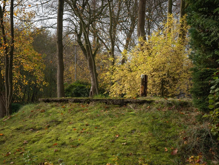 Emslandlager Groß Hesepe Moosbewachsener Erdwall mit herbstlichem Laub, Bäumen und einem kleinen Metallpfosten im Moorgebiet.