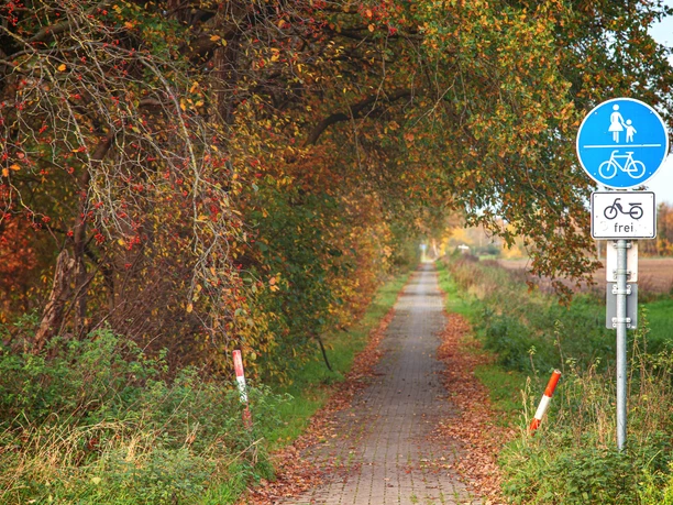 Emslandlager Dalum Schmaler Weg mit Laub bedeckt, flankiert von herbstlichen Bäumen und einem Geh- und Radwegschild.