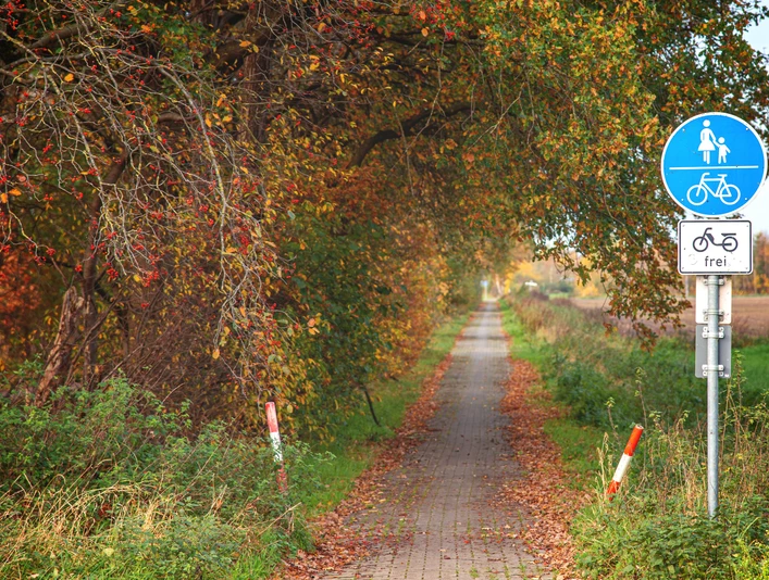 Emslandlager Dalum Schmaler Weg mit Laub bedeckt, flankiert von herbstlichen Bäumen und einem Geh- und Radwegschild.