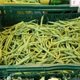 Frische grüne Bohnen in einer grünen Kunststoffkiste auf einem Wochenmarkt, umgeben von Gemüse.