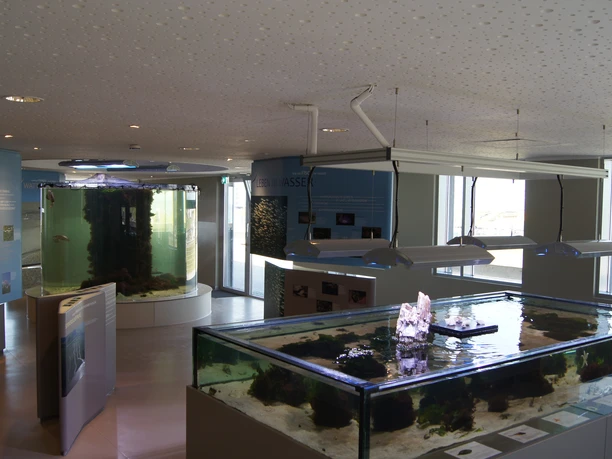 Nationalpark-Haus Wurster Nordseeküste Junior Rangers Ausstellung SONY DSC