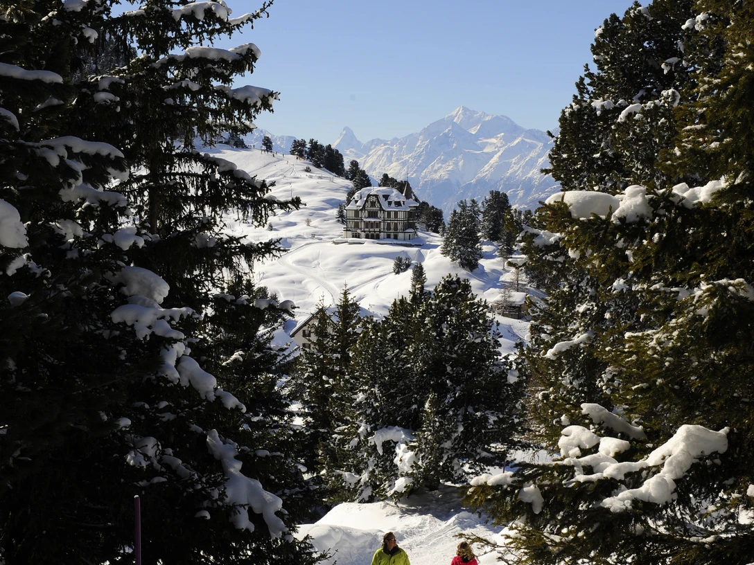 Winterwandern im Aletschwald Winterwandern im Aletschwald