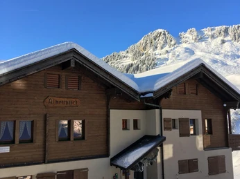 Almenrausch im Winter