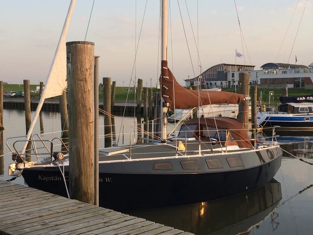 Wasserwelt Wattenmeer