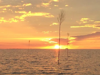 Wasserwelt Wattenmeer_Sonnenuntergang