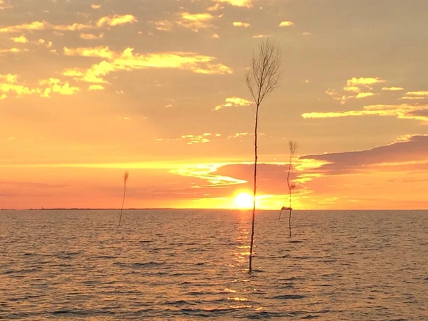 Wasserwelt Wattenmeer_Sonnenuntergang