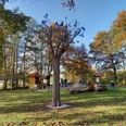 Lieblingsort Drakamp Godensholt im Herbst Im herbstlichen Drakamp Godensholt erstrahlt ein kunstvolles Baumdenkmal vor buntem Blattwerk und blauen Himmel.
