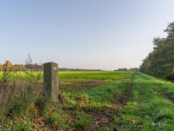 Beweideter Stein