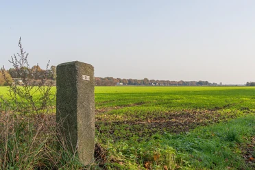 Beweideter Stein