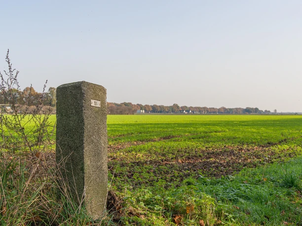 Beweideter Stein