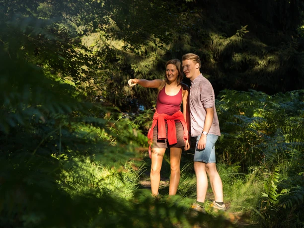 Wandelaars in het natuurpark Münden