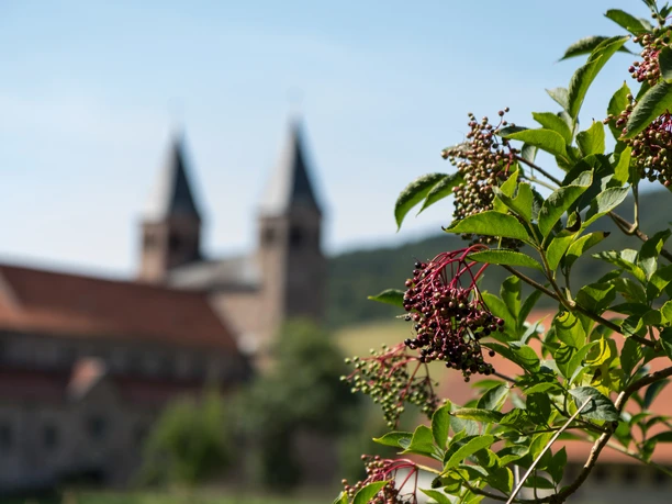 Klooster Bursfelde op de achtergrond