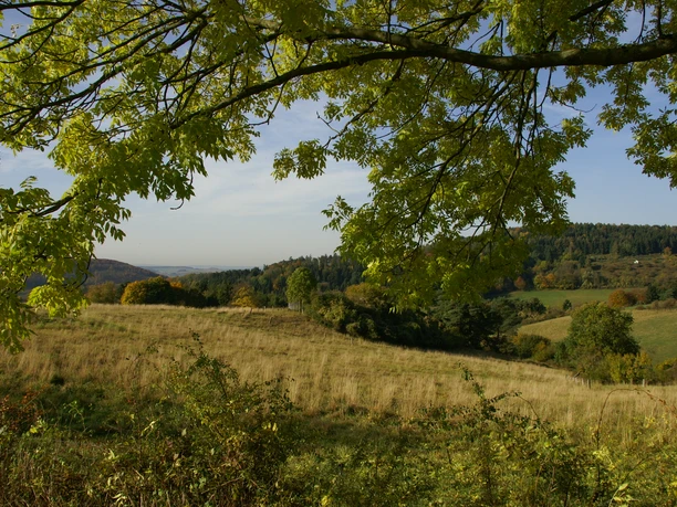 Vielfältige Kulturlandschaft KONICA MINOLTA DIGITAL CAMERA