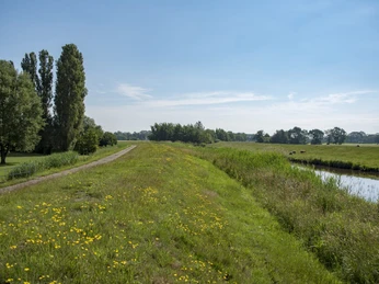 Umgebung vom Hotel Am Deich
