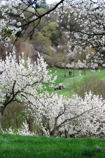 Streuobst und Landwirtschaft im Naturpark Münden