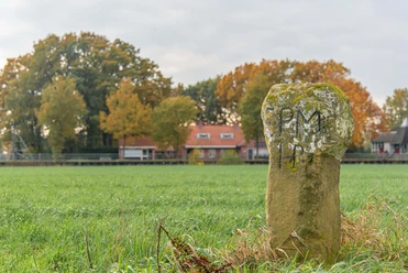 Dickköpfiger Stein