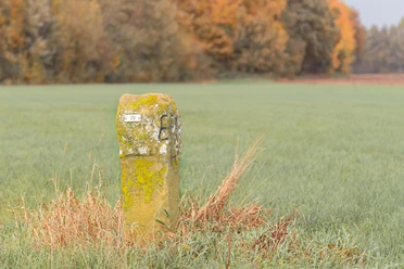 Dickköpfiger Stein