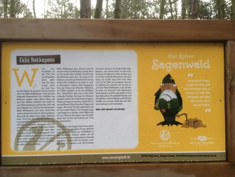 Expedition Uthlande-SylterNorden_Sagenwald_EkkeNekkepenn©NatalieEckelt