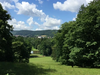 Blick vom Rosenberg auf den gräflichen Park.