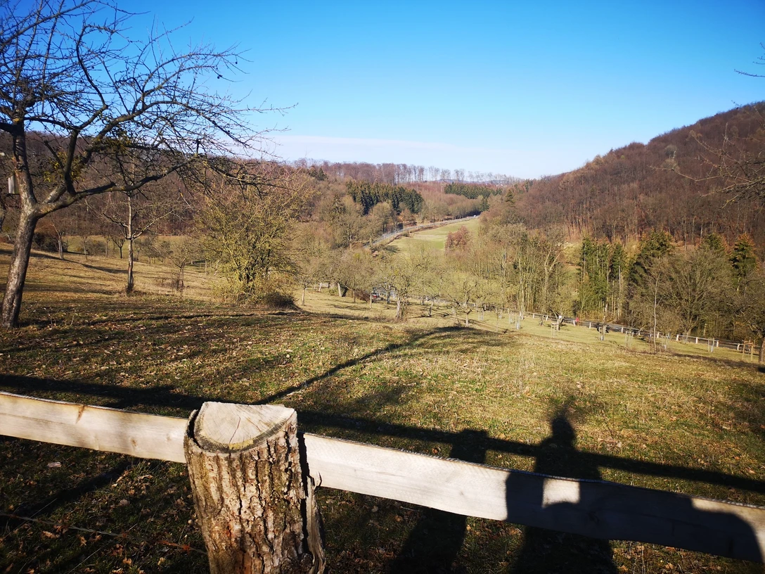 Weitläufige Wiesen und Wälder breiten sich unter einem klaren Himmel vom Schmandberg in Südwestfalen aus.