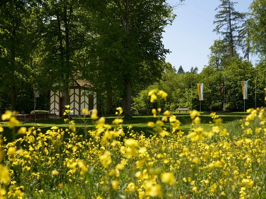 Gelbe Blumenwiese vor einer kleinen Kapelle im Wald, umgeben von hohen Bäumen, unter blauem Himmel.