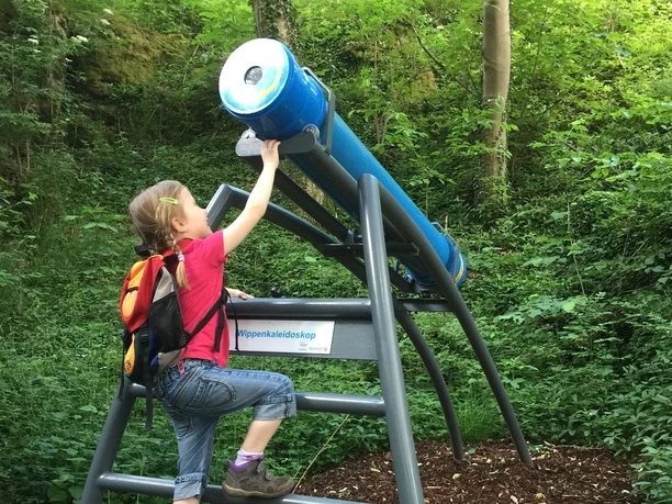 Ein Kind bewegt ein blaues, betriebenes Wippenkaleidoskop in einem von Bäumen umgebenen Waldabschnitt.