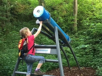 Das Wippenkaleidoskop können Sie auf und ab bewegen Ein Kind bewegt ein blaues, betriebenes Wippenkaleidoskop in einem von Bäumen umgebenen Waldabschnitt.