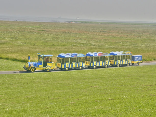 Strand-Express - Cuxliner Der blau-gelbe Cuxliner Strand-Express rollt durch weite grüne Wiesen an der Küste.