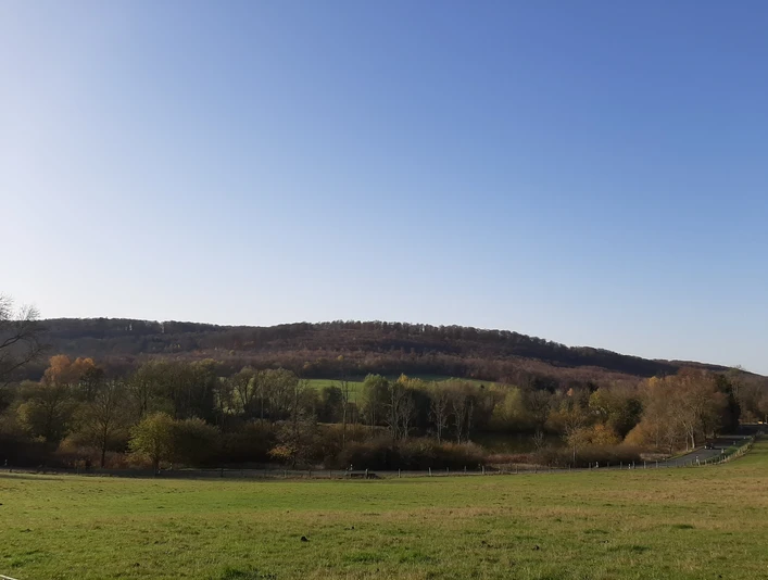 Elm Lappwald_Lina Krause_nördliches Harzvorland.jpg Elm Lappwald_Lina Krause_nördliches Harzvorland.jpgElm Lappwald_Lina Krause_nördliches Harzvorland.jpgElm Lappwald_Lina Krause_nördliches Harzvorland.jpgElm Lappwald_Lina Krause_nördliches Harzvorland.jpg