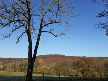 Elm Lappwald_Lina Krause_nördliches Harzvorland.jpg Elm Lappwald_Lina Krause_nördliches Harzvorland.jpgElm Lappwald_Lina Krause_nördliches Harzvorland.jpgElm Lappwald_Lina Krause_nördliches Harzvorland.jpgElm Lappwald_Lina Krause_nördliches Harzvorland.jpg