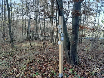 Wegweiser Elm Lappwald_Lina Krause_nördliches Harzvorland.jpg Wegweiser Elm Lappwald_Lina Krause_nördliches Harzvorland.jpgSignpost Elm Lappwald_Lina Krause_nördliches Harzvorland.jpgSkilt Elm Lappwald_Lina Krause_nördliches Harzvorland.jpgWegwijzer Elm Lappwald_Lina Krause_nördliches Harzvorland.jpg