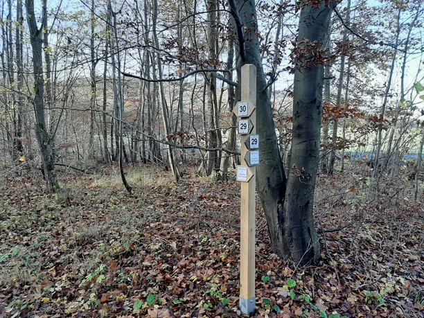 Wegweiser Elm Lappwald_Lina Krause_nördliches Harzvorland.jpg Signpost Elm Lappwald_Lina Krause_nördliches Harzvorland.jpg