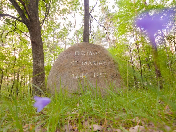 Klosterstein Steinbeck (2).jpg