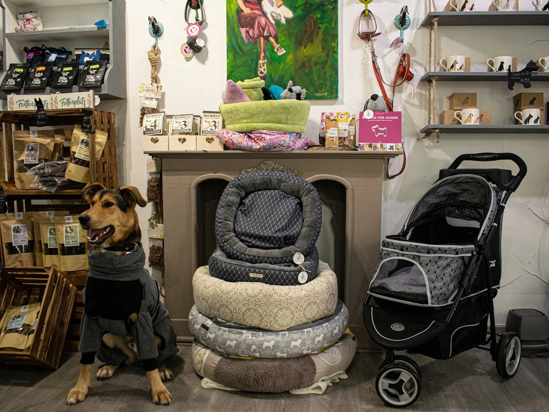 Alles für und mit Hund gibt es bei Hundegeschichten