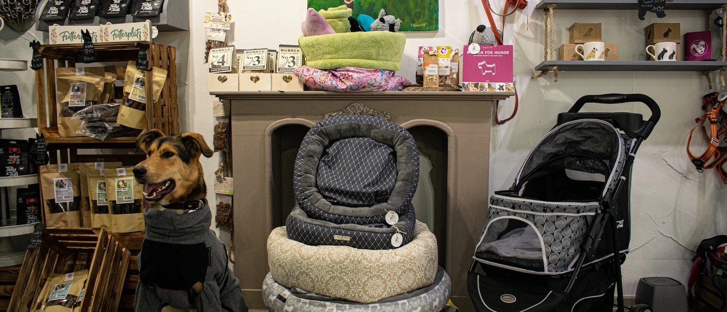 Alles für und mit Hund gibt es bei Hundegeschichten