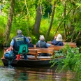 Sietland Kahnfahrt Ihlienworth Personengruppe fährt mit Holzboot durch Wasserkanal im Sietland unter Bäumen.