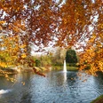 park-backerwall-mit-springbrunnen-im-herbst