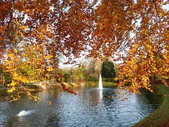 park-backwall-met-veer-fontein-in-herfst