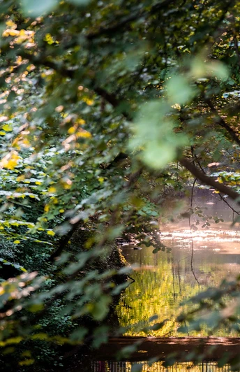 bacherwall-mit-teich-im-grunen