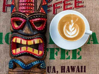 celle-gastronomie-roadtoaloha