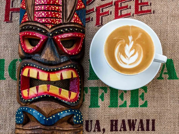 celle-gastronomie-roadtoaloha