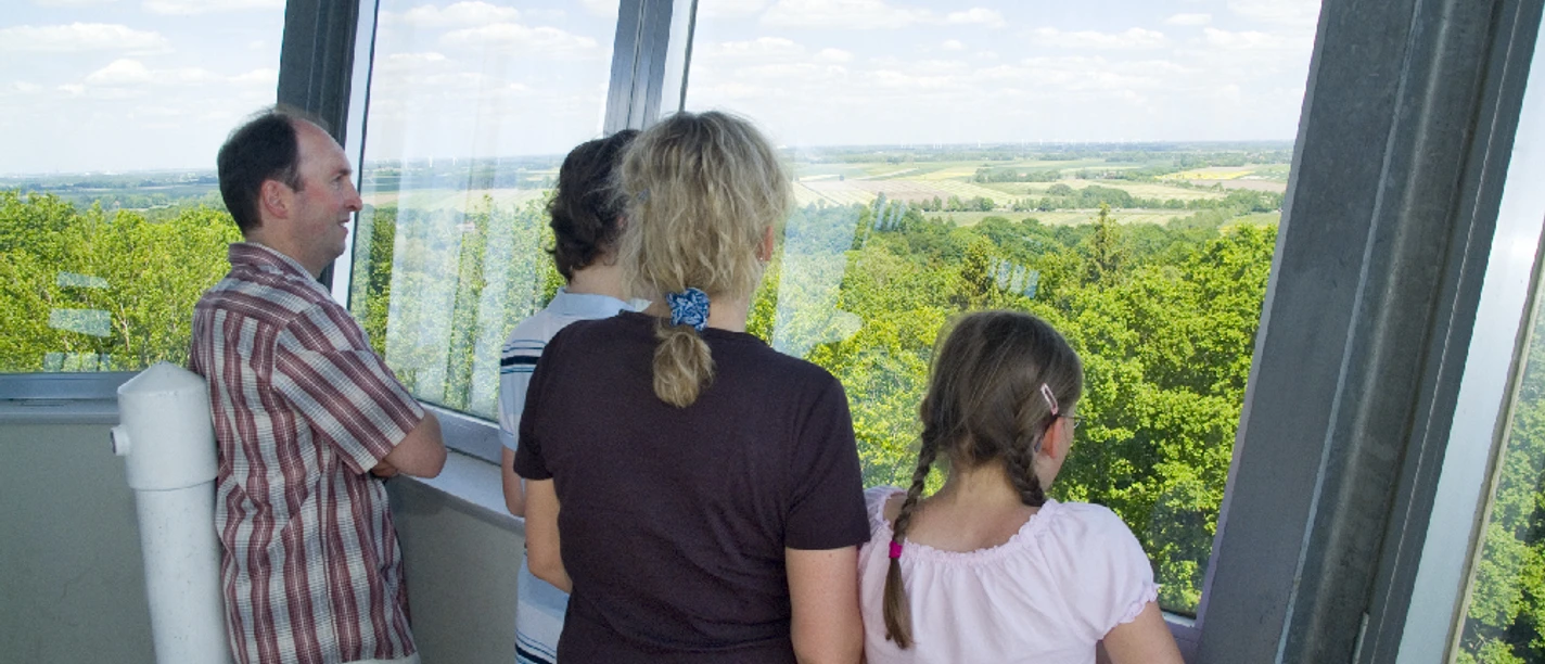 Wingst Deutscher Olymp - Fernsicht vom Turm Vanaf de toren genieten mensen van het weidse uitzicht over bossen en velden onder een heldere hemel.